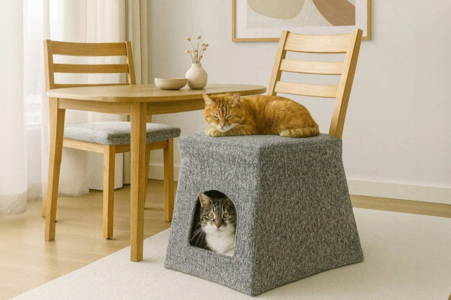 cats sitting on and inside Chair Lair cat cave.